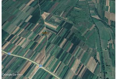 Teren de 700 mp, în Poplaca