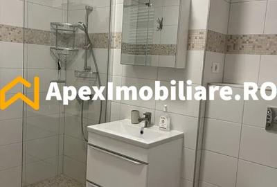 Apartament cu 2 camere, mobilat în Unirii - 3