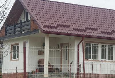 Casă cu Teren 2450 Mp în Lădești - 3