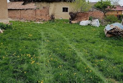 Casă cu 3 camere cu Teren 500 Mp în Dângău Mare - 6