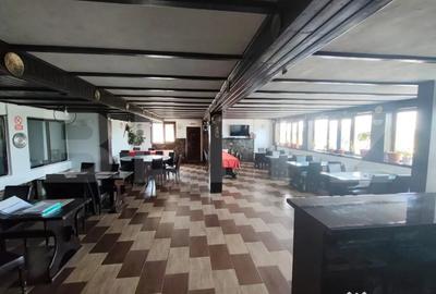 Spațiu comercial, de 150 mp, în Dragomirești
