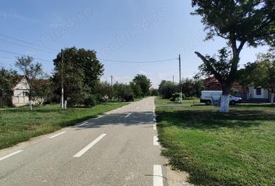 Teren de 2700 mp, în Belinț - 3