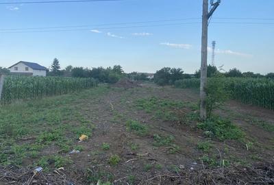Teren de 2248 mp, în Moara Vlăsiei - 4