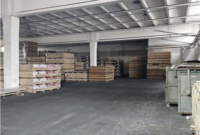 Spațiu industrial, de 500 mp, în Vest - 6
