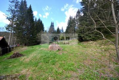 Teren Construcții intravilan de 1060 mp, în Predeal - 5