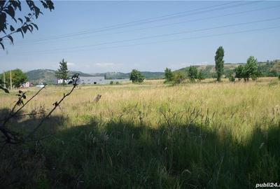 Teren de 2400 mp, în Aninoasa - 2