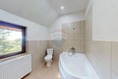 Casă cu 10 camere cu Teren 2947 Mp în Sohodol - 1