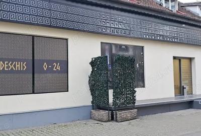 Spațiu comercial, de 160 mp, în Șagului