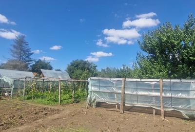 Casă cu 3 camere cu Teren 2100 Mp în Livedea - 1