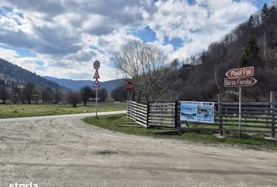 Teren de 2500 mp, în Plaiul Foii - 13