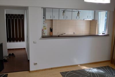 Apartament cu 2 camere semidecomandat în Băneasa