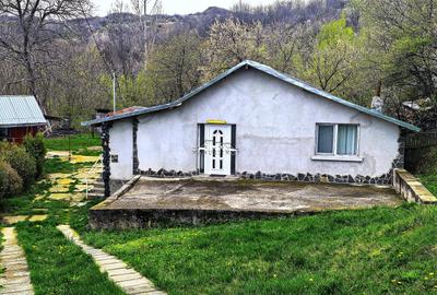 Casă individuală cu 4 camere cu Teren 2500 Mp în Podul Vadului - 3
