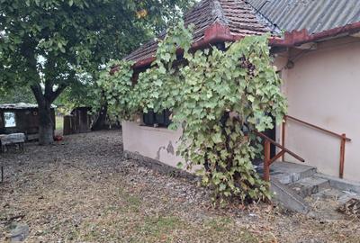 Casă cu 2 camere în Victor Babeș