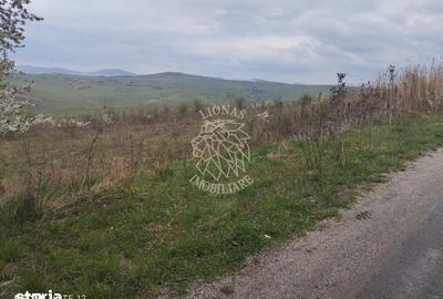 Teren de 2100 mp, în Șieu - 4