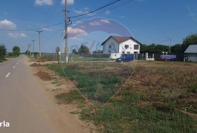 Teren de 650 mp, în Ciolpani - 4