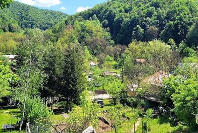 Casă cu Teren 1800 Mp în Cosmina de Sus