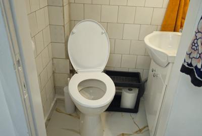 Casă individuală cu 6 camere cu Canalizare în Giulești - 23