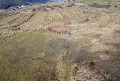 Teren agricol extravilan de 68403 mp, în Popești - 13