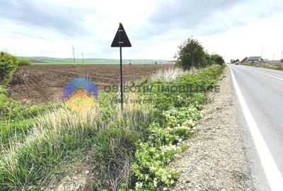 Teren agricol intravilan de 4500 mp, în Precista - 6