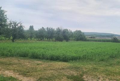 Casă cu Teren 44 Mp în Chiuza