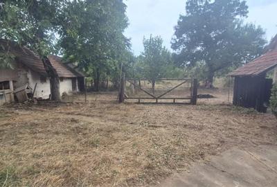 Casă cu 4 camere în Sculia - 7