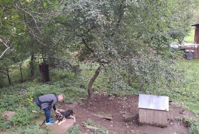 Casă cu 4 camere în Posada
