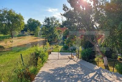 Casă cu 3 camere cu Teren 1903 Mp în Vechea
