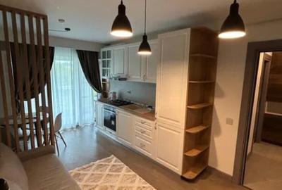 Apartament cu 2 camere semidecomandat, mobilat în Tătărași
