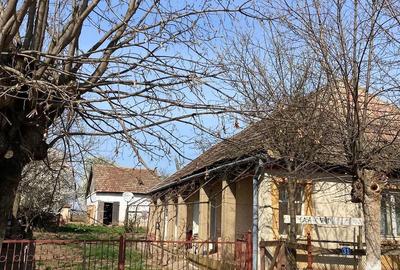 Casă cu 3 camere cu Teren 2200 Mp în Săuca - 2