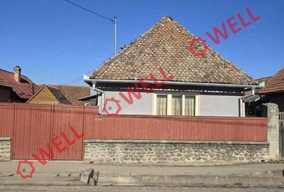 Casă cu Teren 1026 Mp în Brăduț - 4