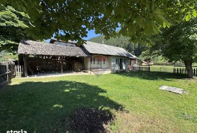 Casă cu 2 camere cu Teren 5417 Mp în Borca