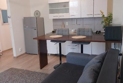 Apartament cu 2 camere semidecomandat în Moara de Vânt - 5