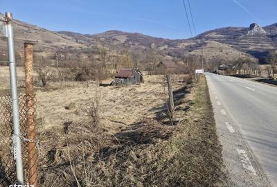 Teren de 2214 mp, în Livezile - 5