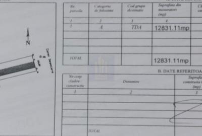 Teren Construcții intravilan de 12831 mp, în Căciulați - 4