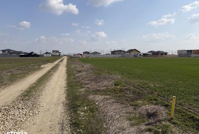 Teren de 505 mp, în Berceni