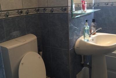 Apartament cu 3 camere decomandat în Broșteni - 14
