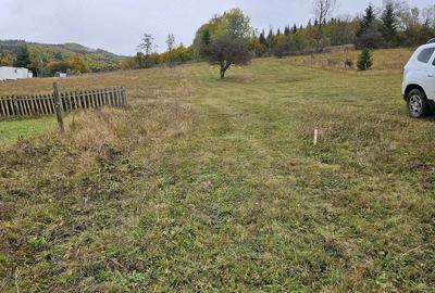 Teren de 3100 mp, în Trăisteni