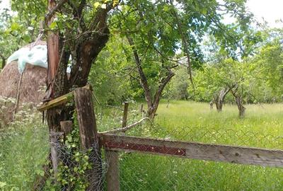 Teren de 7000 mp, în Tănăsești - 1