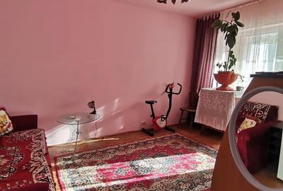 Garsonieră semidecomandată în Petros - 5