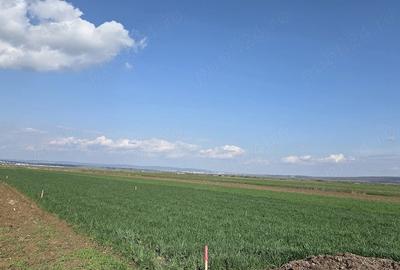 Teren de 1099 mp, în Central