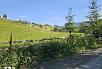 Teren de 10223 mp, în Breaza