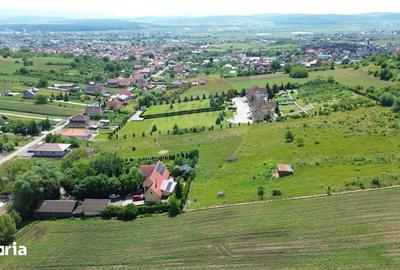 Teren de 730 mp, în Central - 6