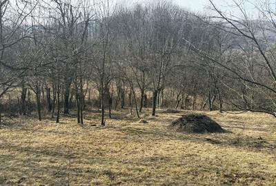 Teren Construcții intravilan de 2788 mp, în Central - 3