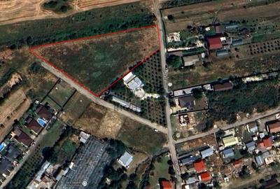 Teren Construcții intravilan de 6200 mp, în Săbăreni - 1