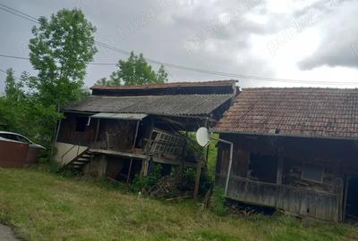 Casa de la ?ara - 5