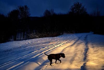 Teren agricol extravilan de 5000 mp, în Șinca Nouă - 3