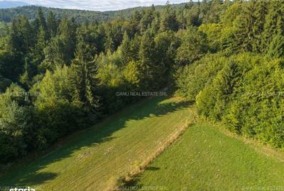 Spațiu comercial, în Vulcan - 6