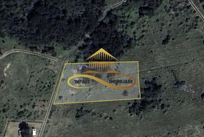 Teren intravilan in Fantanele | Hemeius - de vanzare - 6