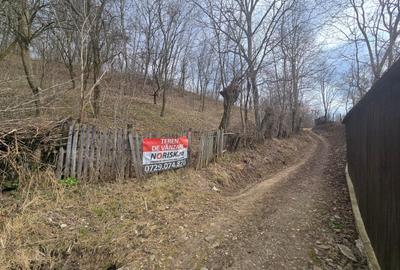 Teren Construcții intravilan de 3485 mp, în Cerașu - 7