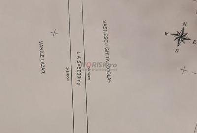 Terenuri Ciorogarla - 500mp -> 7.500mp -> 4 Ha - 5